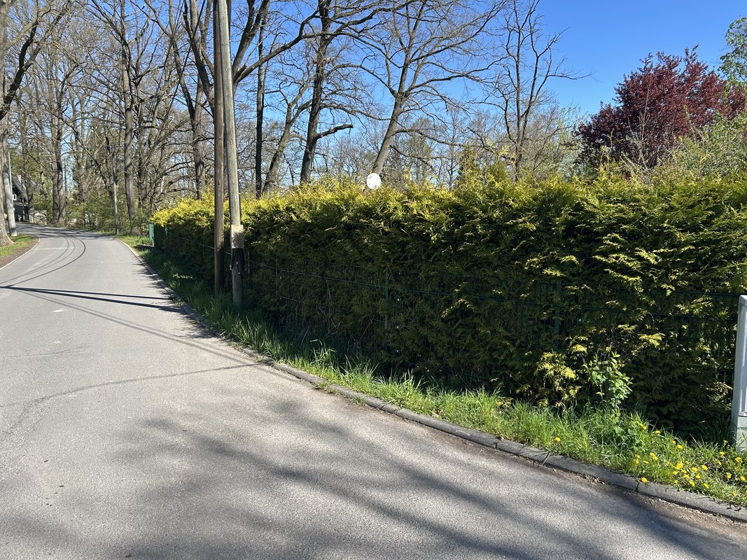 Baugrundstück Altenbach Bild 9